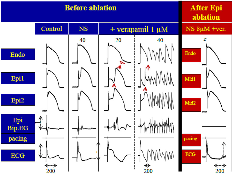 Figure 9: