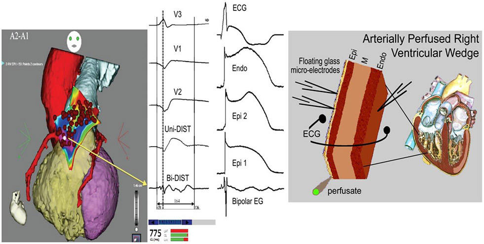 Figure 7.