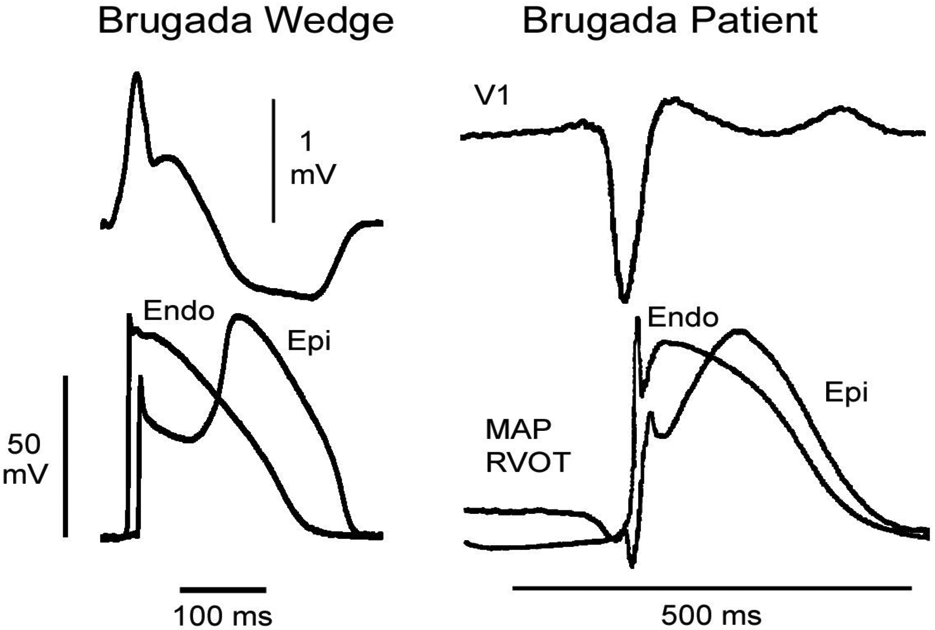 Figure 10.