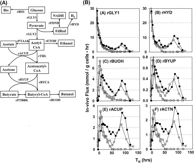 FIG. 3.