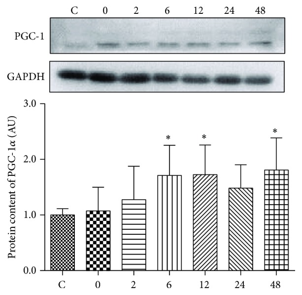 Figure 5