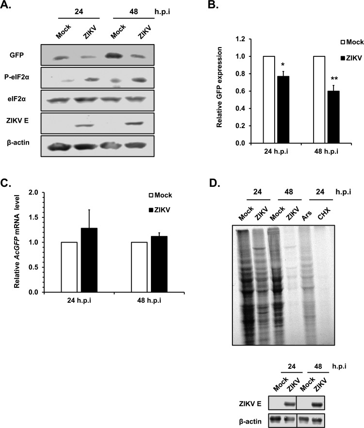 FIG 4