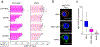 Extended Data Figure 9.