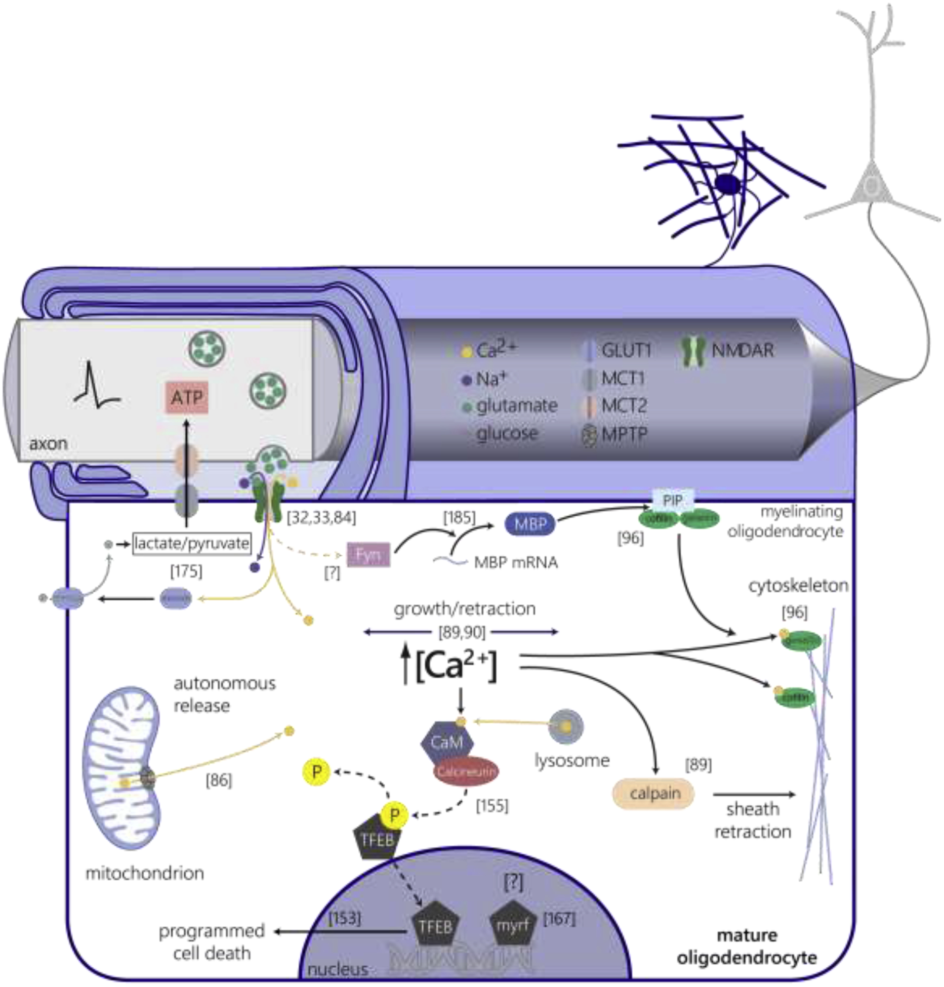 Figure 4 |