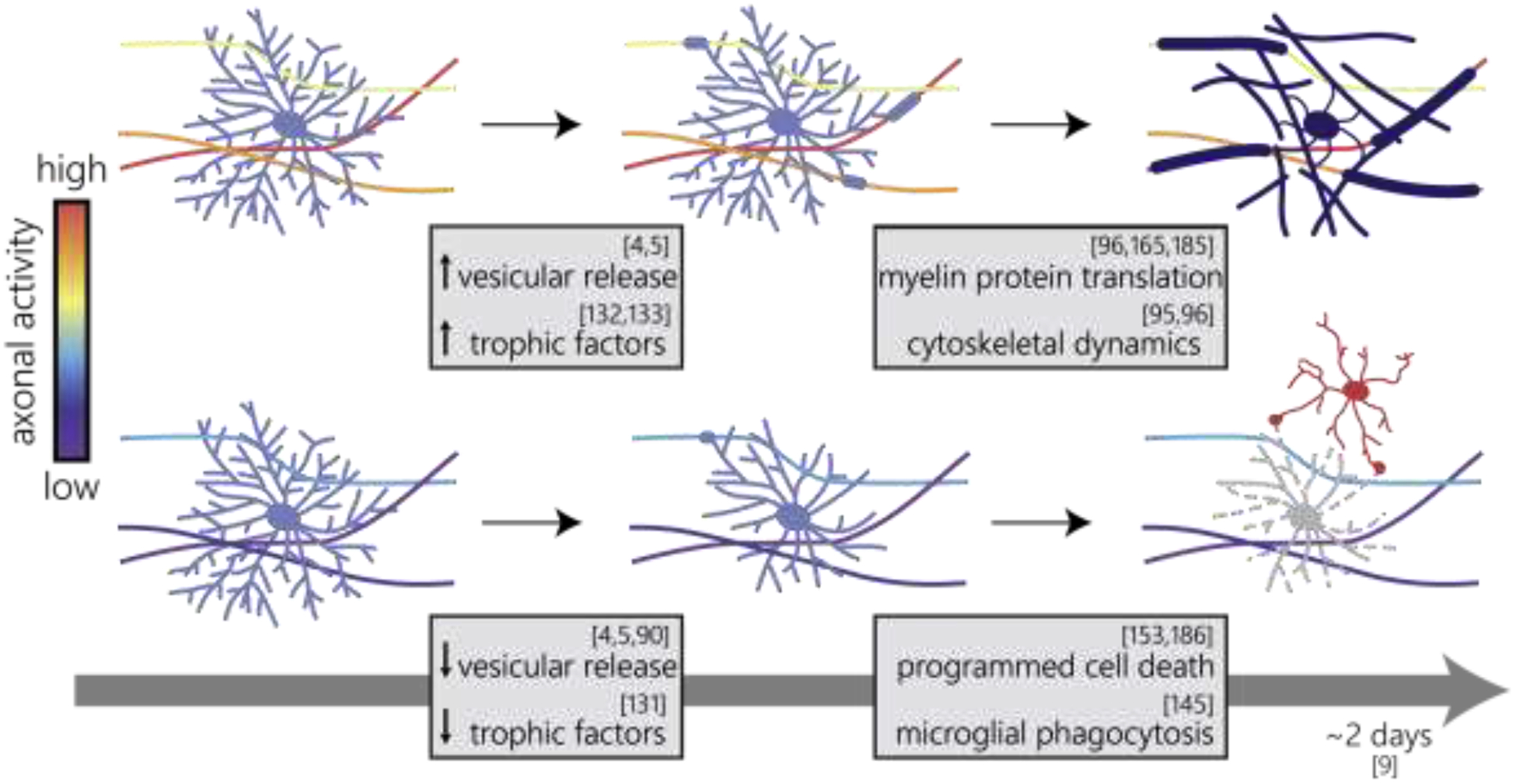 Figure 3 |