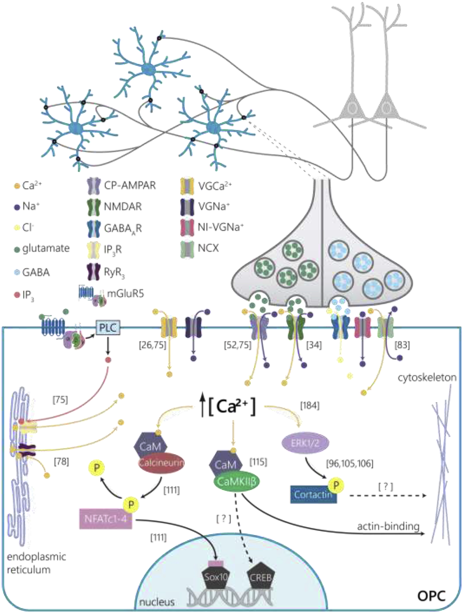 Figure 2 |