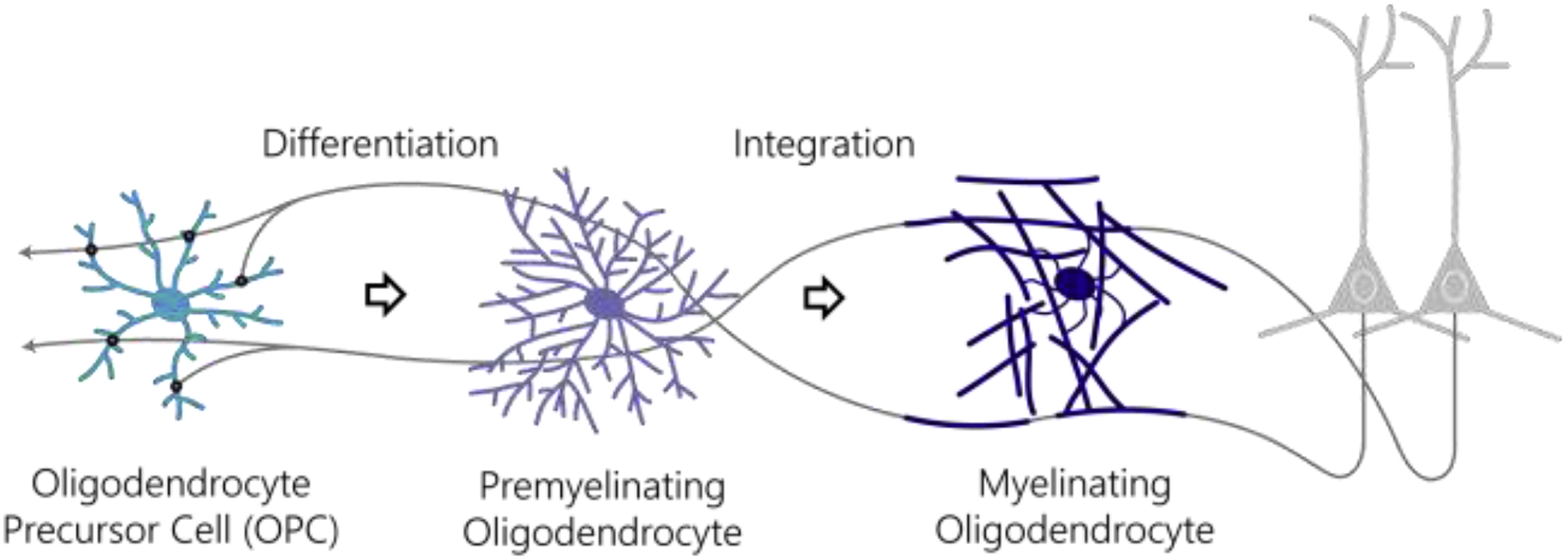 Figure 1 |