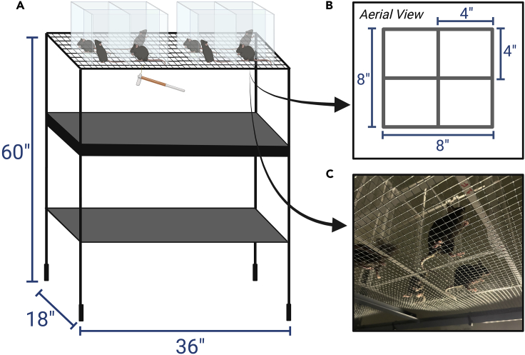 Figure 1