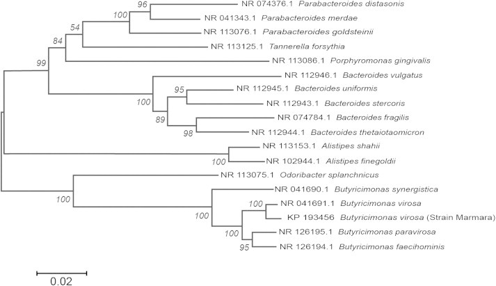 Fig. 1