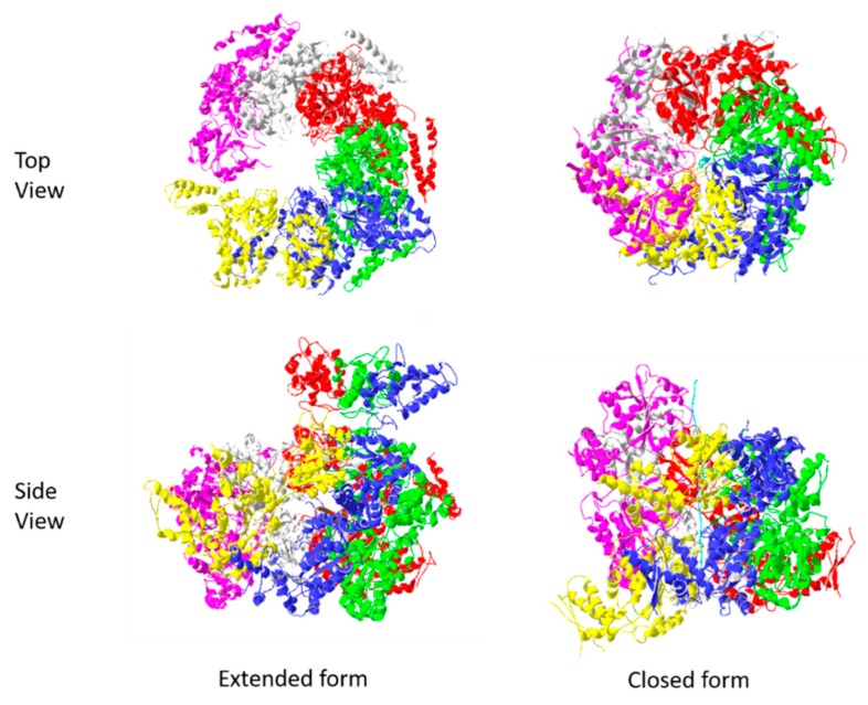 Figure 7