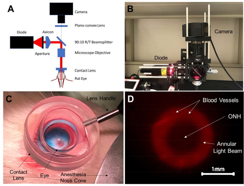 Figure 1: