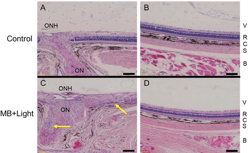 Figure 5: