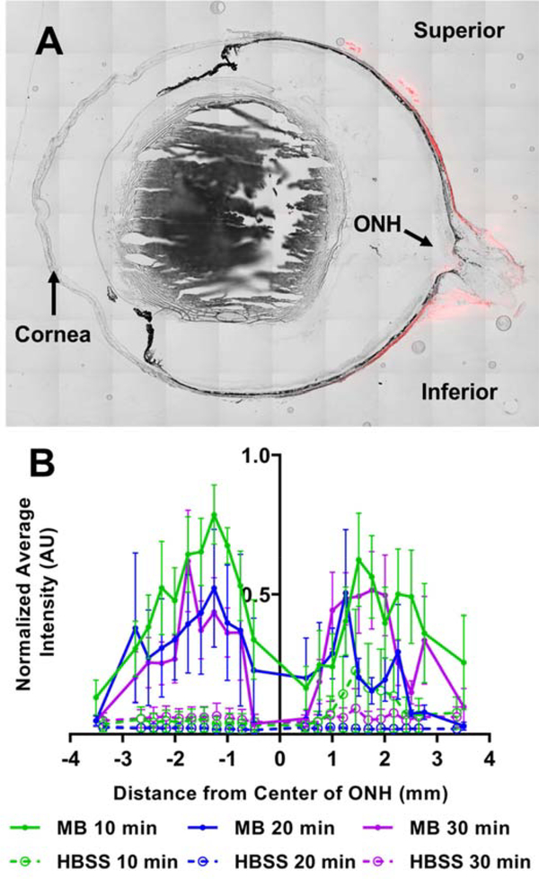 Figure 2: