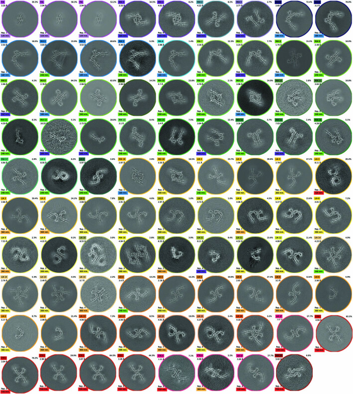 Extended Data Fig. 5