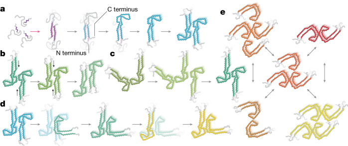 Fig. 6