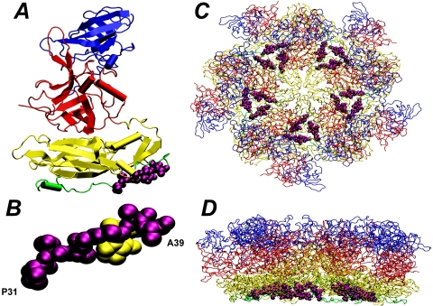 FIG. 4.