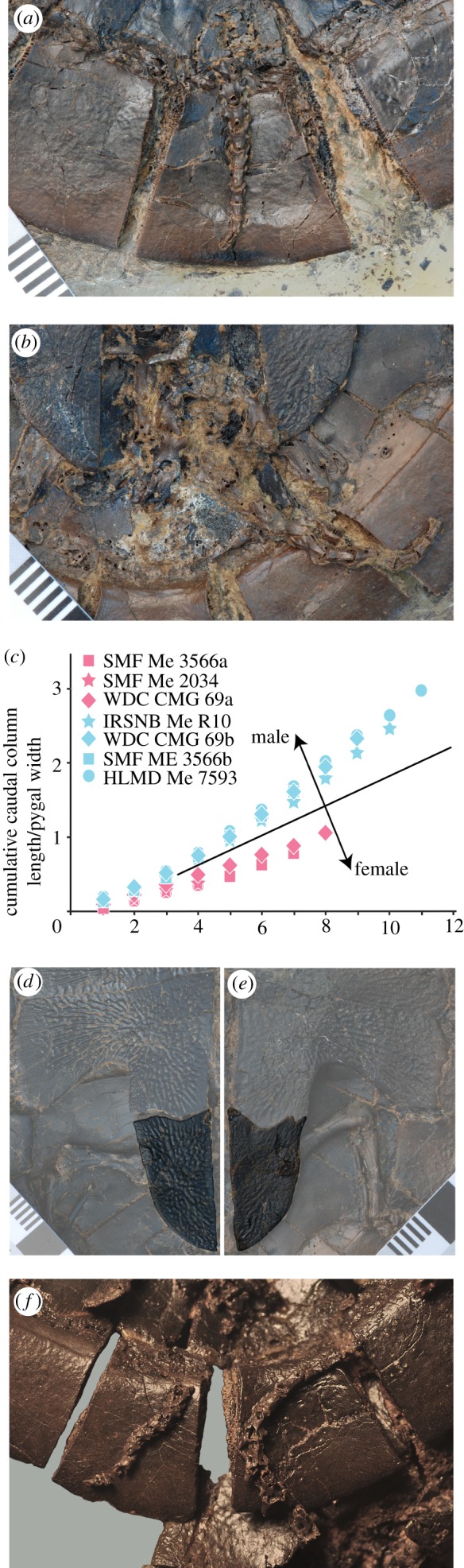 Figure 2.