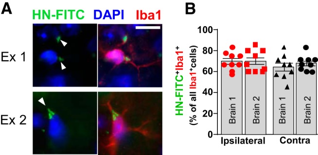 Figure 2.