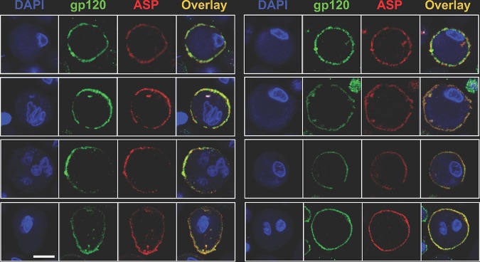 FIG 10