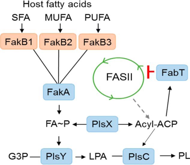 Figure 10.