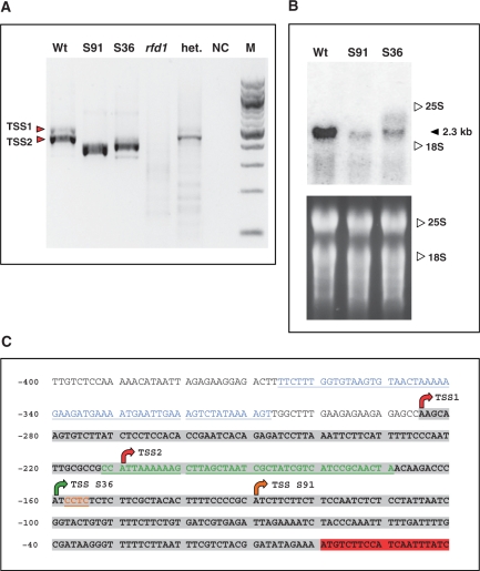 Figure 3.