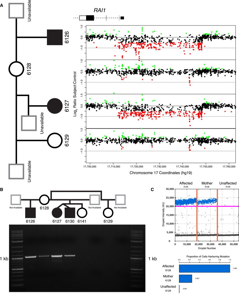 Figure 1