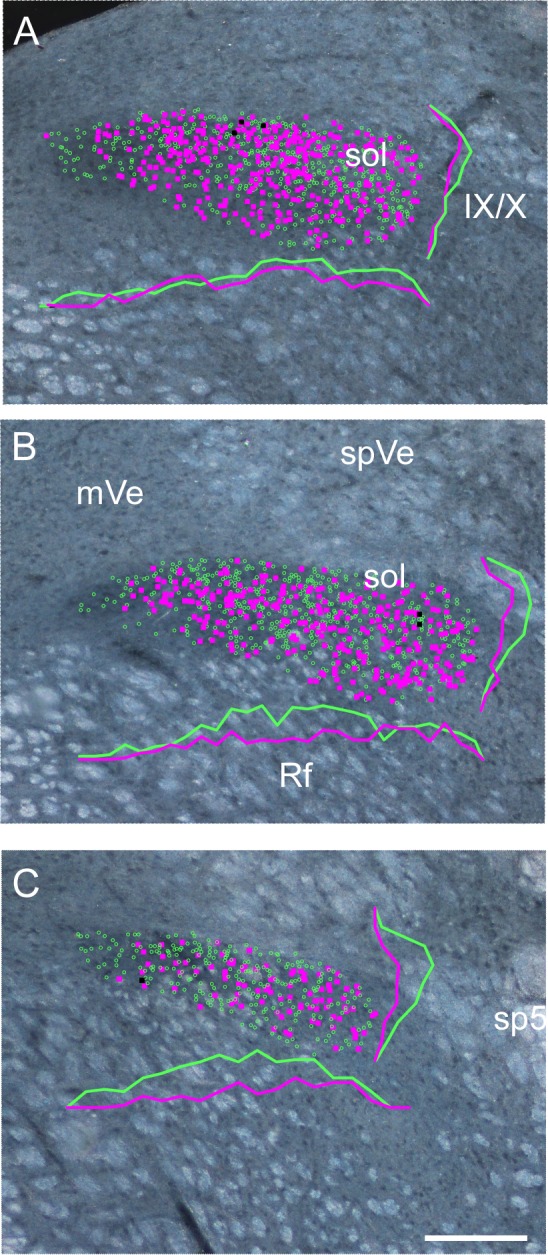 Fig. 4.