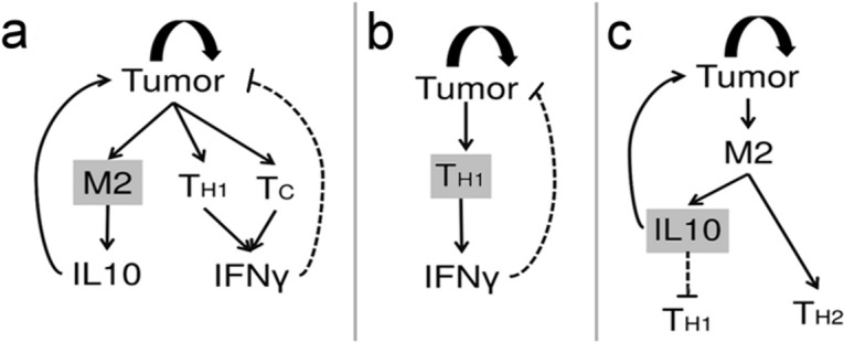 Fig 5