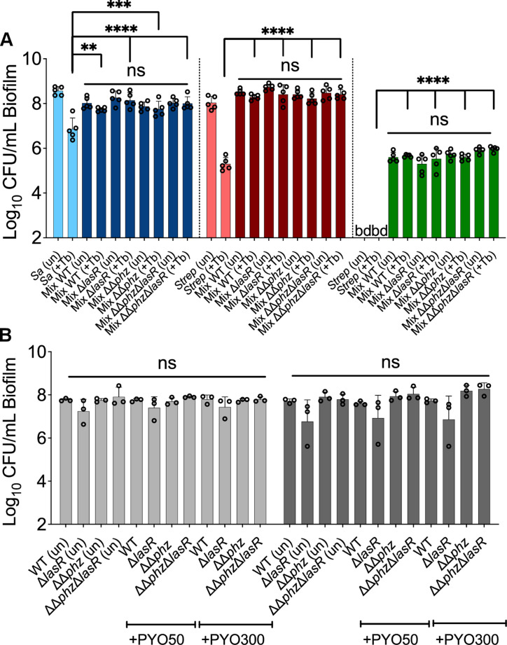 Figure 4—figure supplement 1.