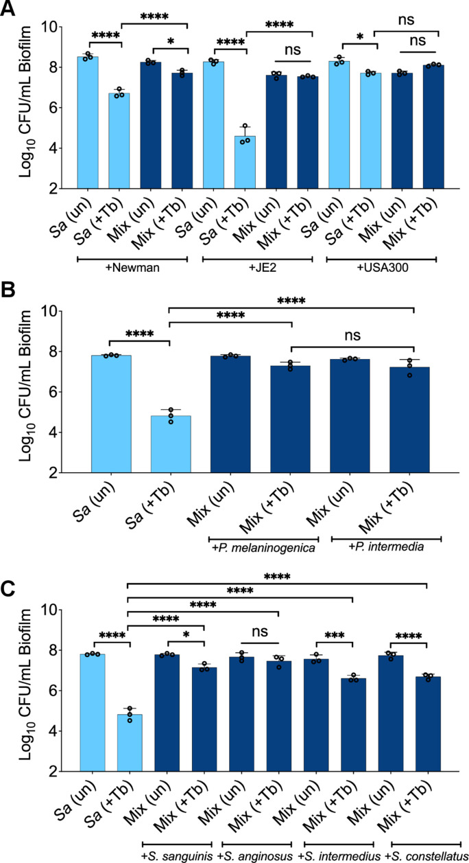 Figure 2—figure supplement 4.