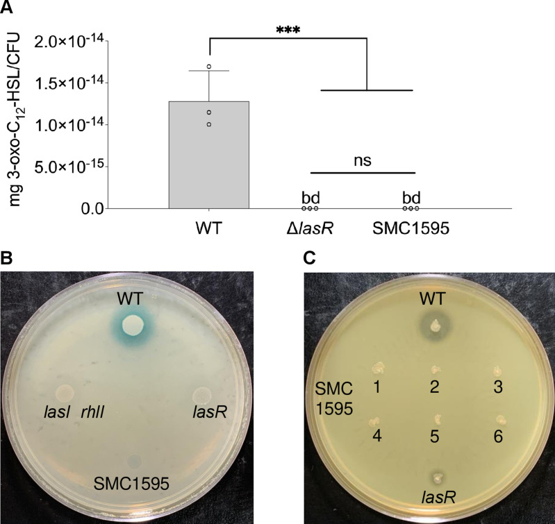 Figure 3—figure supplement 2.