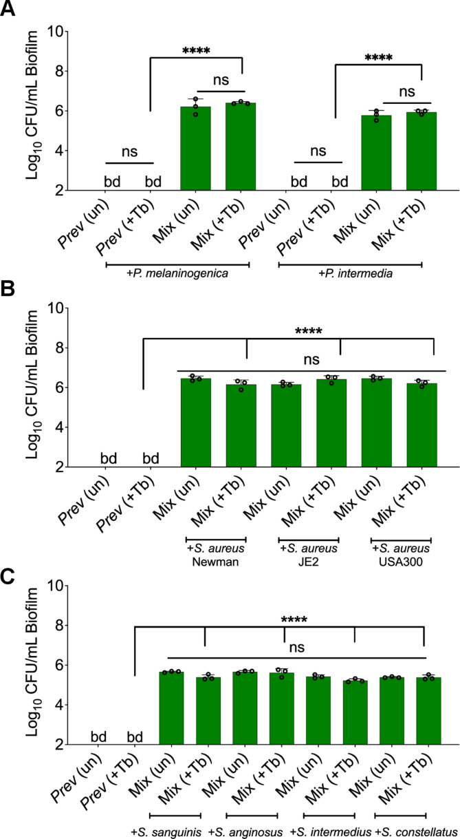 Figure 2—figure supplement 6.