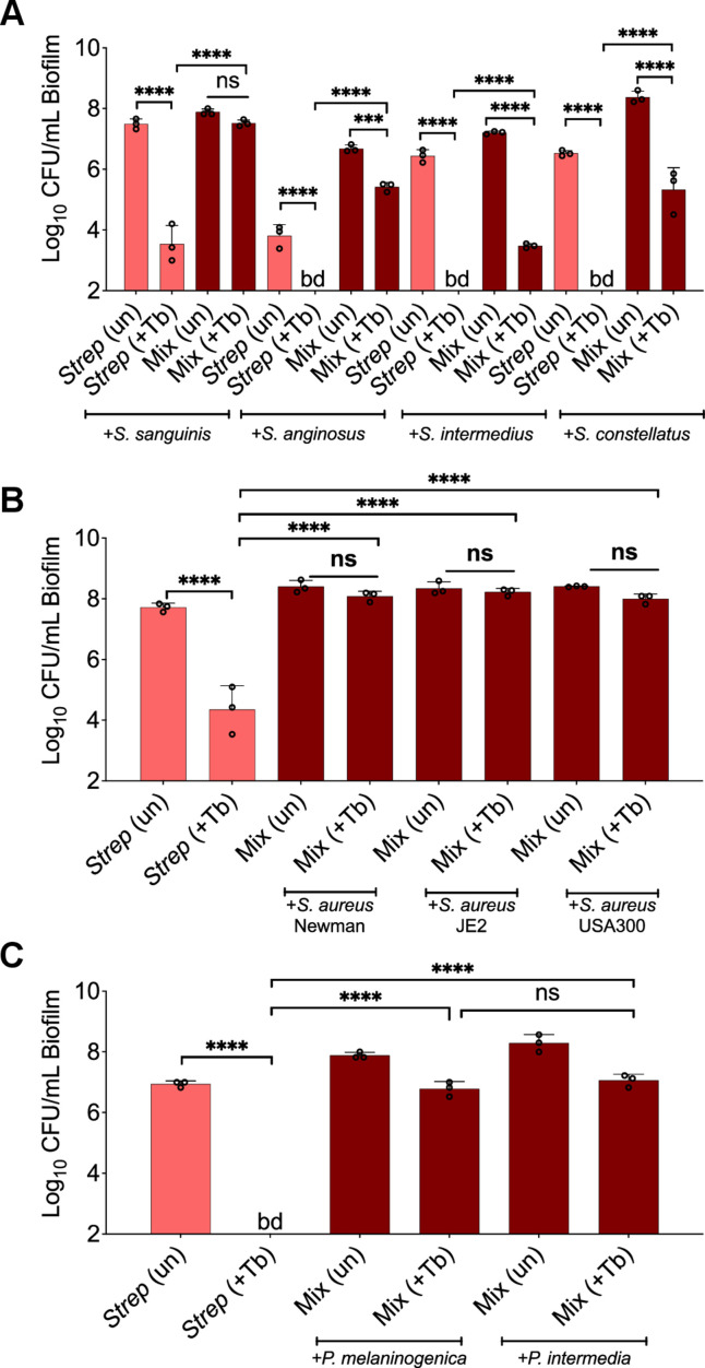 Figure 2—figure supplement 5.