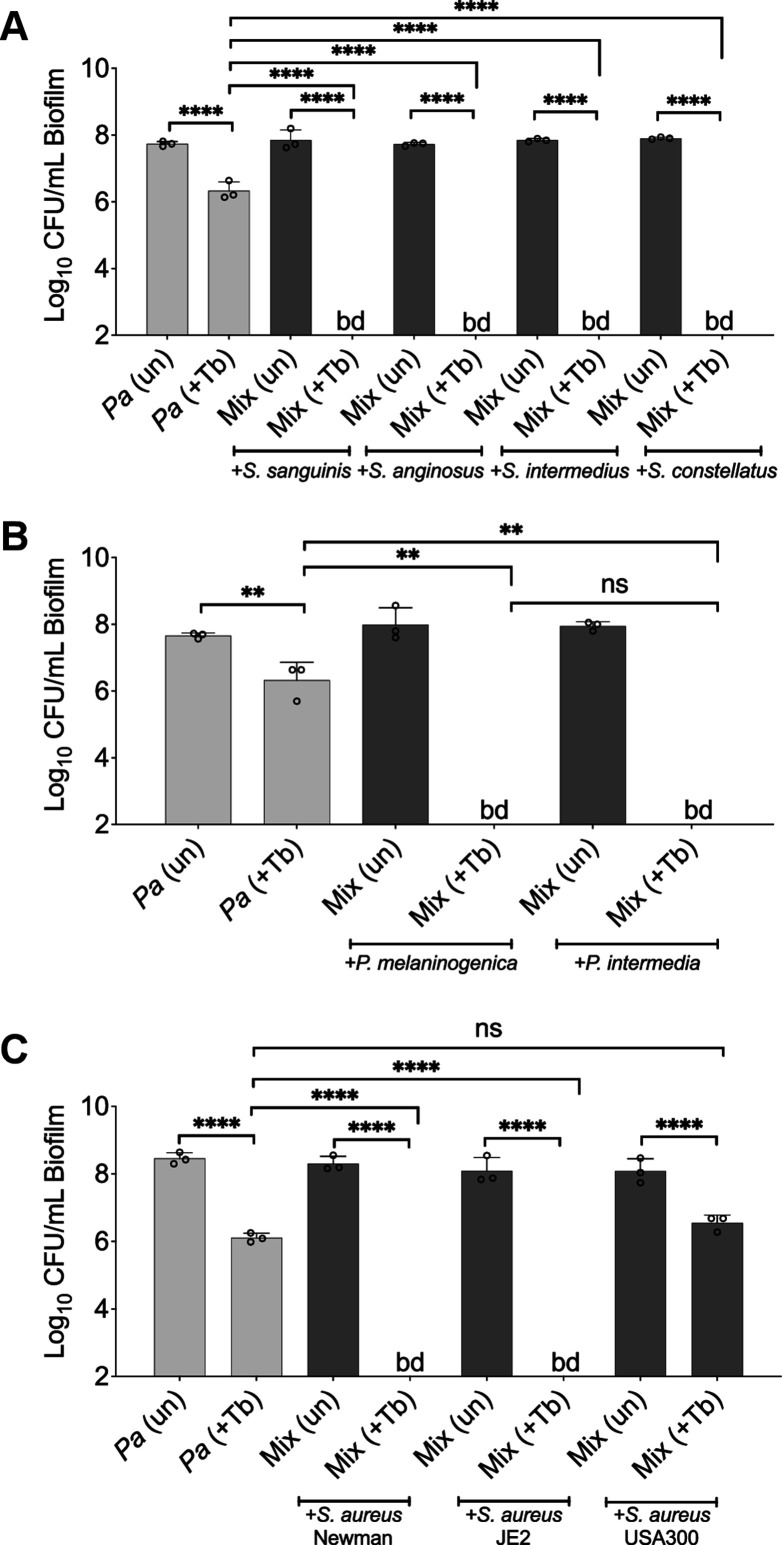 Figure 2—figure supplement 3.