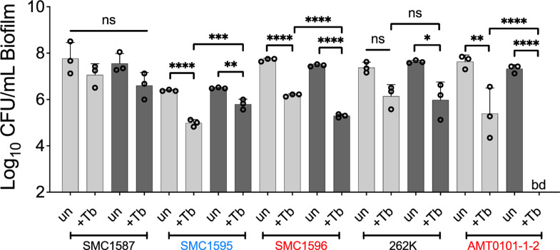 Figure 2—figure supplement 2.