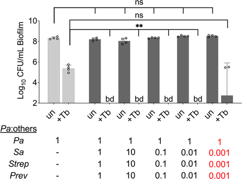 Figure 2—figure supplement 1.