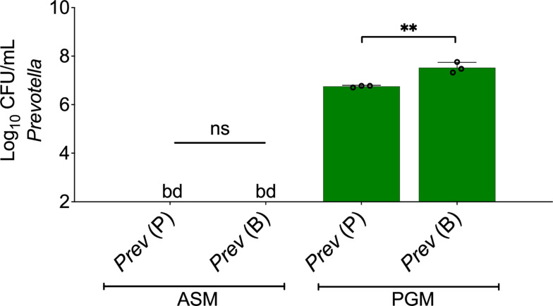 Figure 1—figure supplement 2.