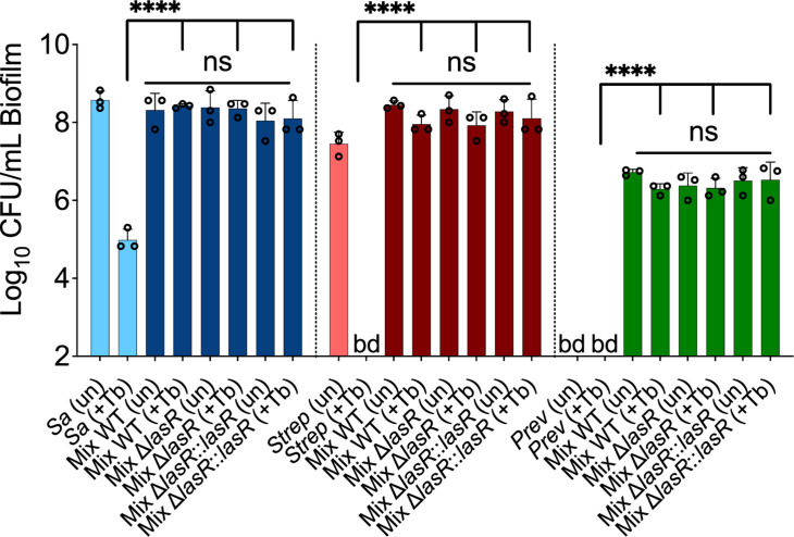 Figure 3—figure supplement 1.