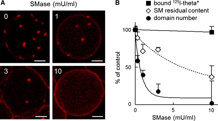 Fig. 3