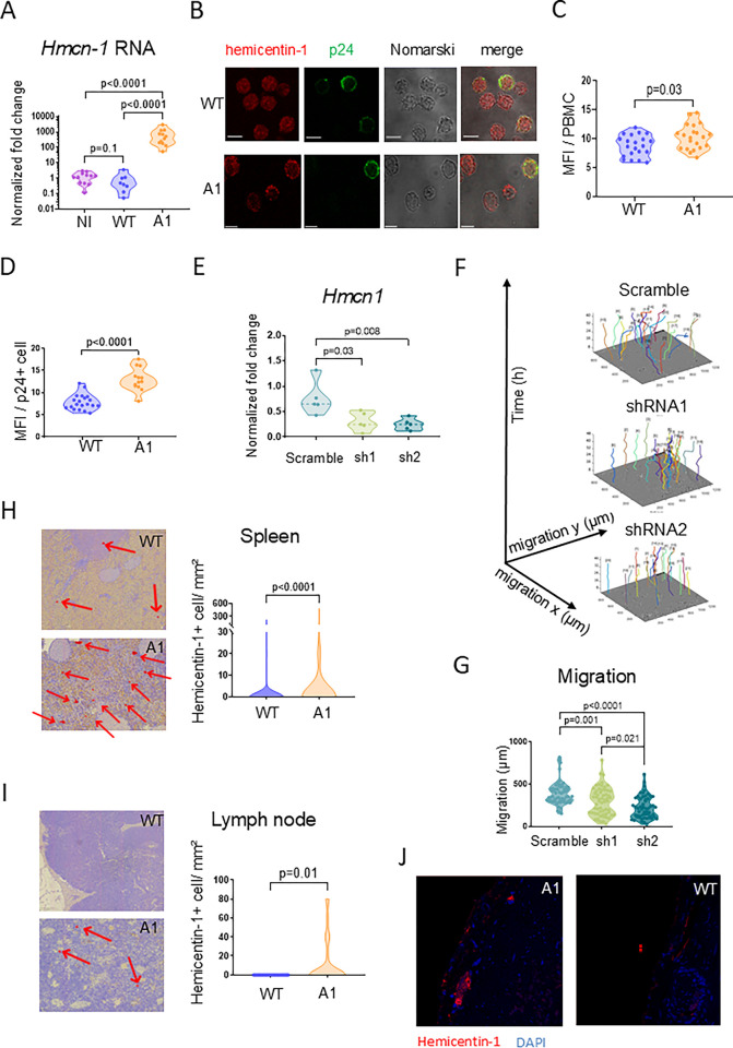 Fig 4