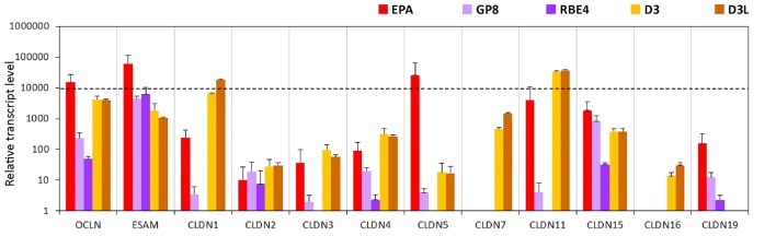 Figure 5