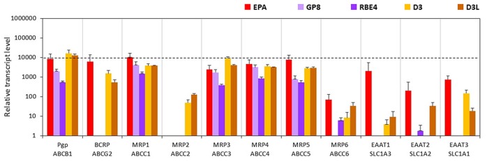 Figure 6