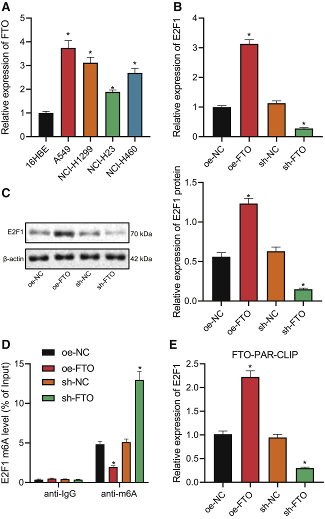 Figure 4