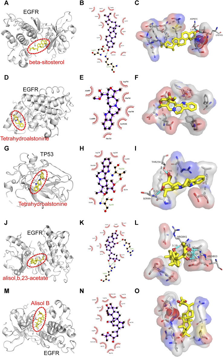 FIGURE 11