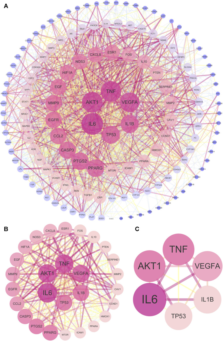 FIGURE 4