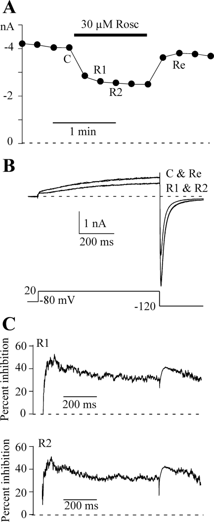 Fig. 7.