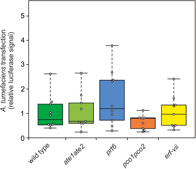 FIGURE 6