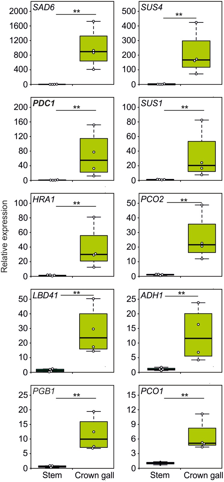 FIGURE 3