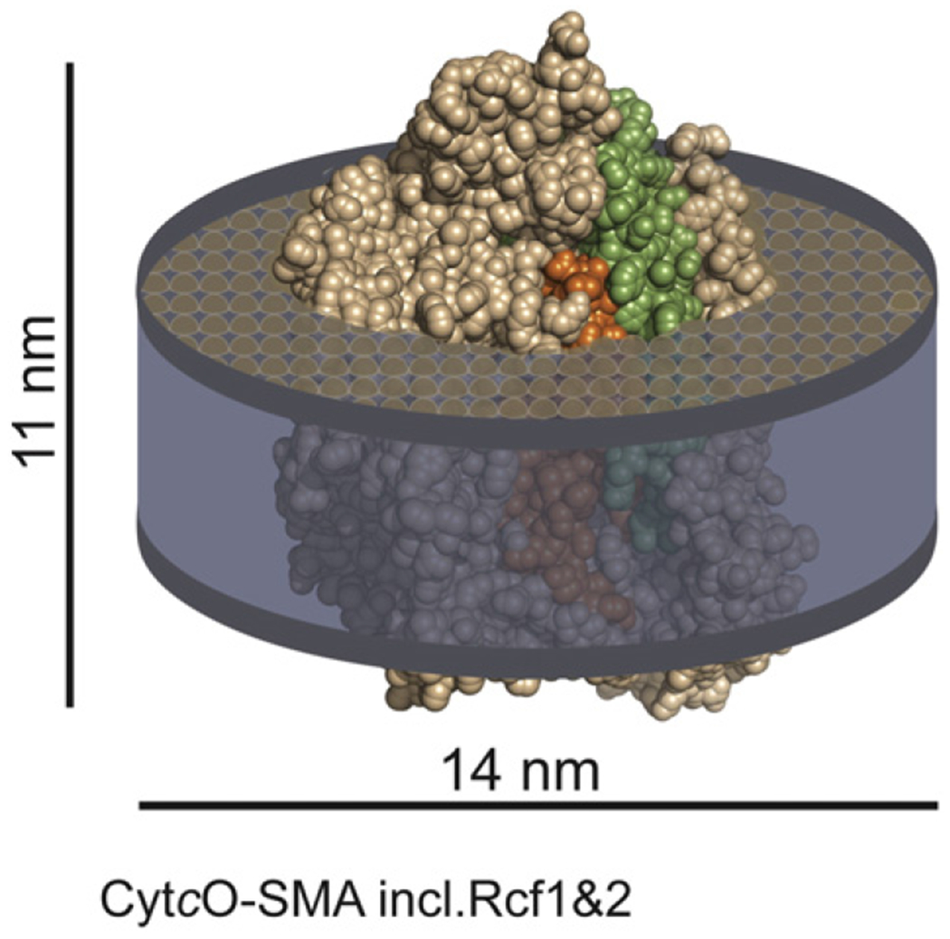 Fig. 7.