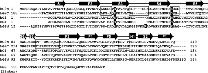 FIGURE 4.